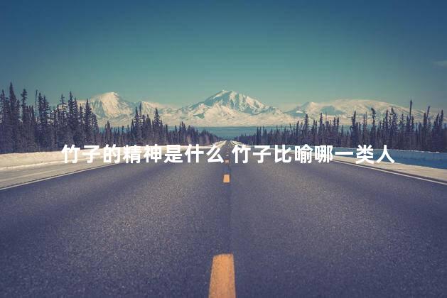 竹子的精神是什么 竹子比喻哪一类人